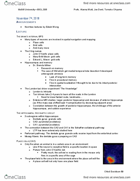 BIOL 306 Lecture Notes - Lecture 25: Dentate Gyrus, Brenda Milner, Temporal Lobe thumbnail