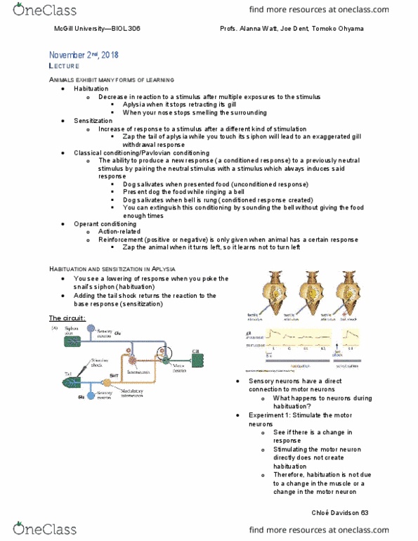 BIOL 306 Lecture Notes - Lecture 23: Aplysia, Motor Neuron, Sensory Neuron thumbnail