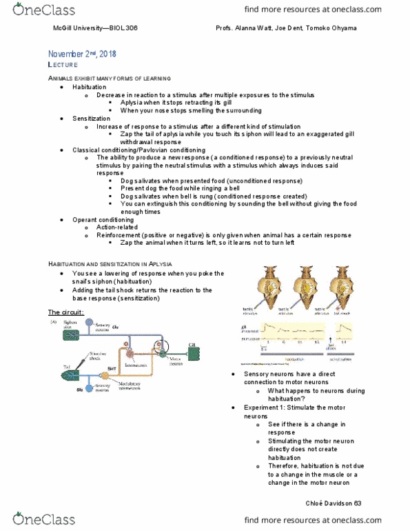 document preview image