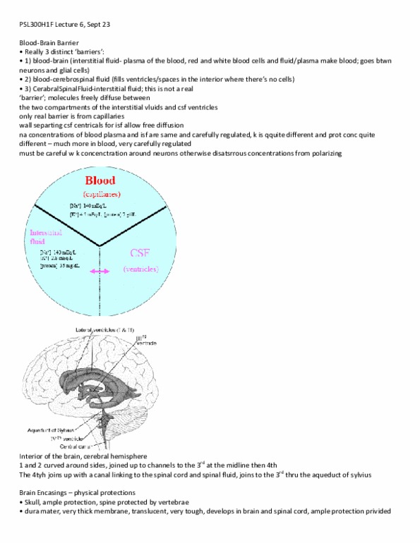 PSL201Y1 Lecture 6: Lecture 6 - Blood Brain Barrier thumbnail