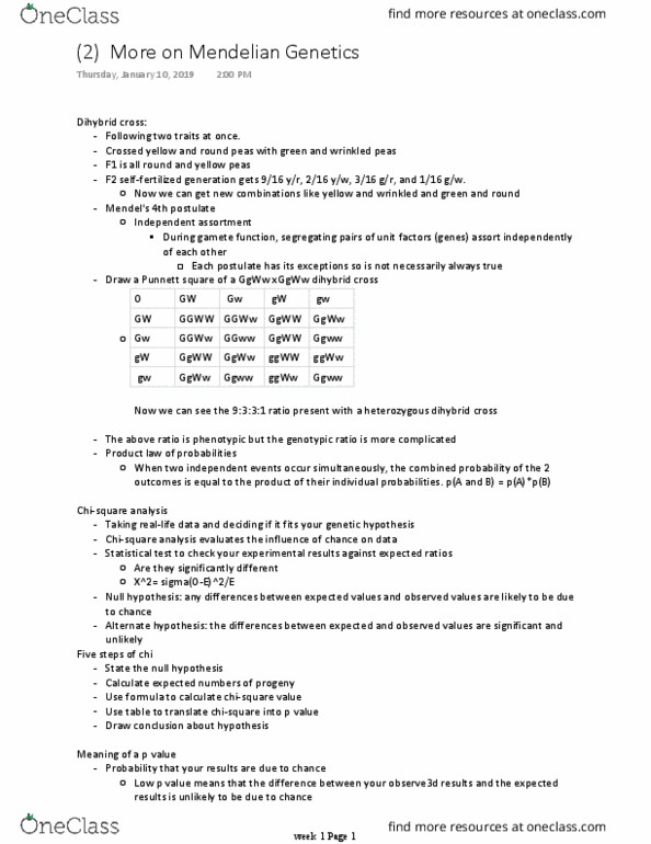 BICD 100 Lecture Notes - Lecture 2: Chi-Squared Distribution, Mendelian Inheritance, Punnett Square thumbnail