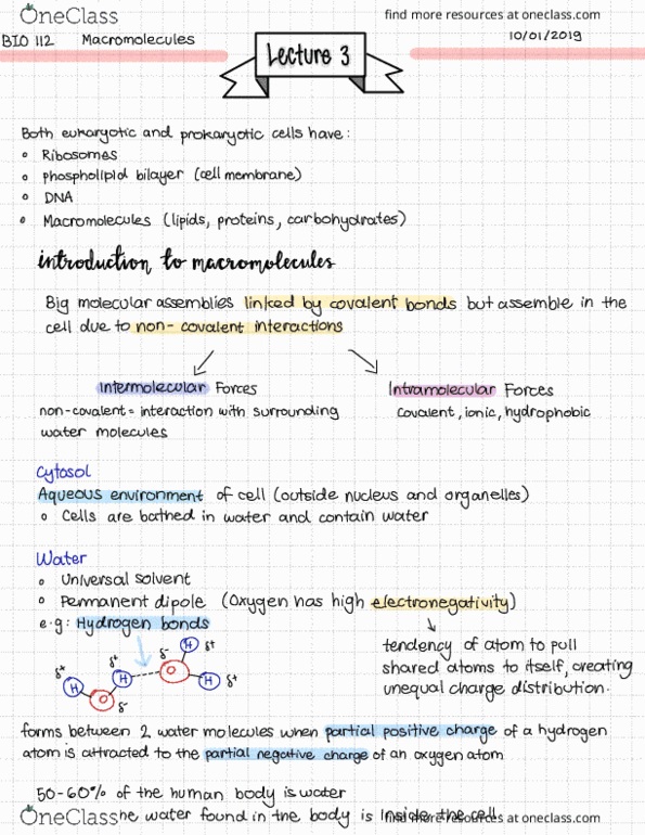BIOL 112 Lecture Notes - Lecture 3: Lipid Bilayer, Intermolecular Force, Hydrogen Bond cover image