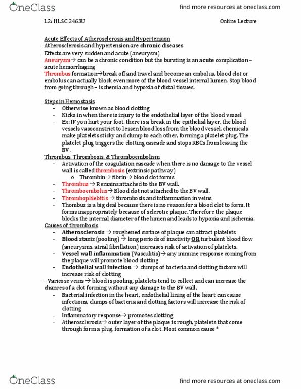 HLSC 2463U Lecture 2: Acute Effects of Atherosclerosis and Hypertension thumbnail