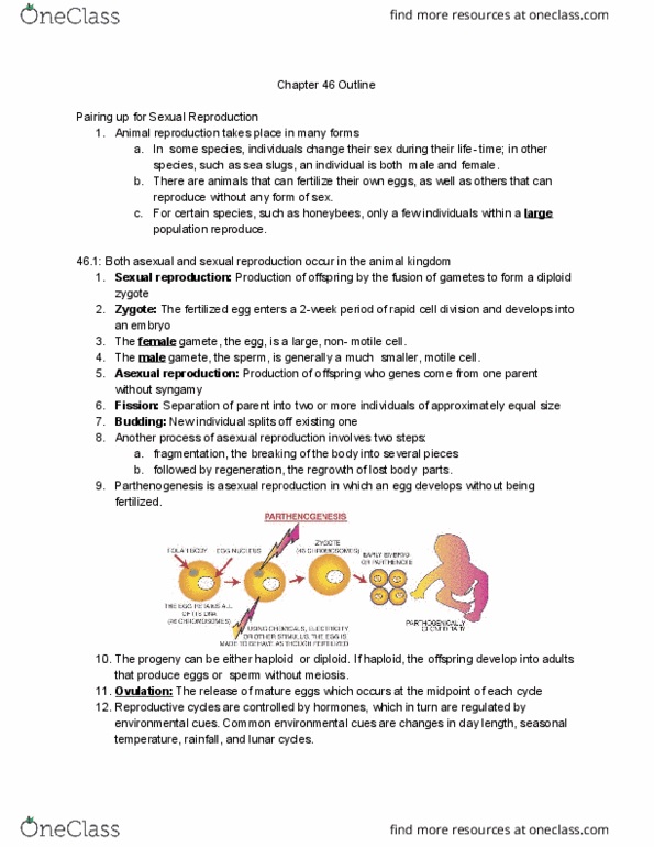 BIOL 117 Chapter Notes - Chapter 46: Asexual Reproduction, Fertilisation, Parthenogenesis thumbnail