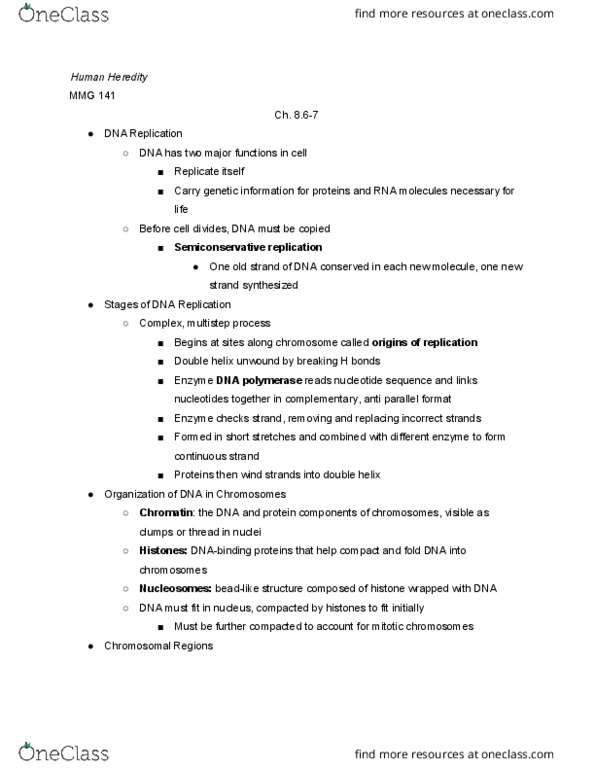 MMG 141 Chapter 8: Ch. 8.6-7 DNA Replication and Chromosomes thumbnail