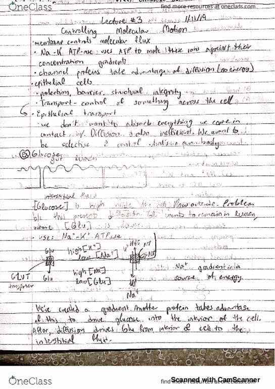 BIO SCI E109 Lecture 3: Week 1 Friday thumbnail