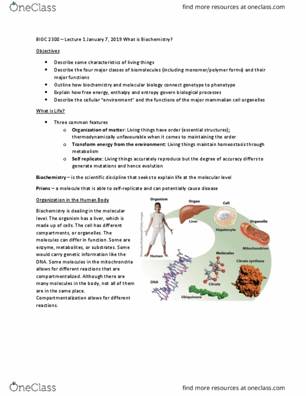 BIOC 2300 Lecture 1: BIOC 2300 - Lecture 1 thumbnail