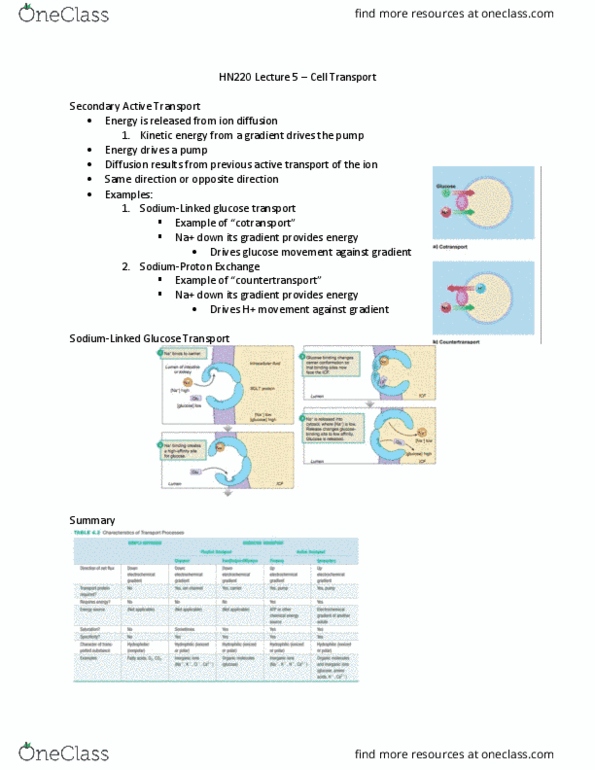 HN220 Lecture 5: HN220 Lecture 5 - Cell Transport Winter 2019 thumbnail