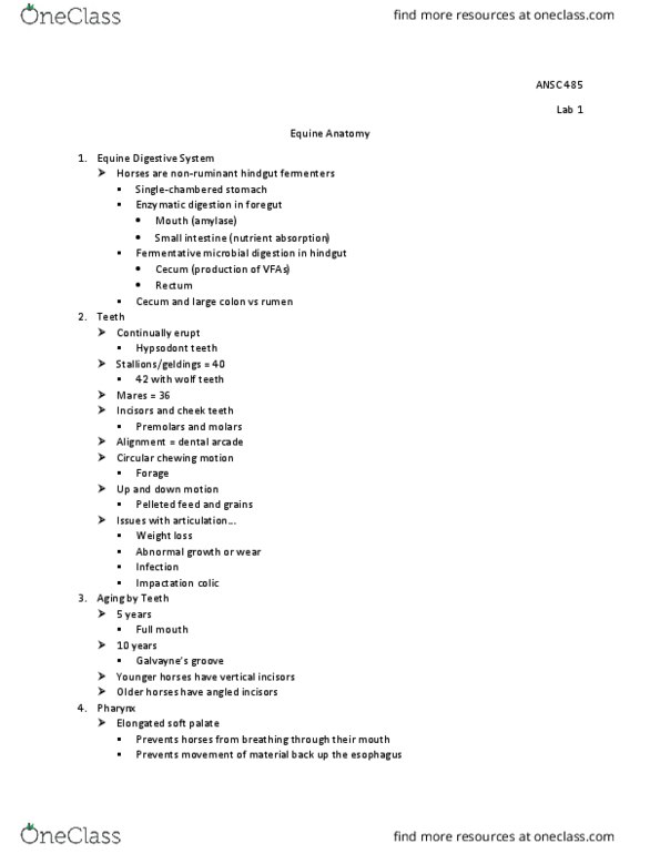 ANSC 485 Lecture Notes - Lecture 1: Hindgut Fermentation, Hypsodont, Soft Palate thumbnail