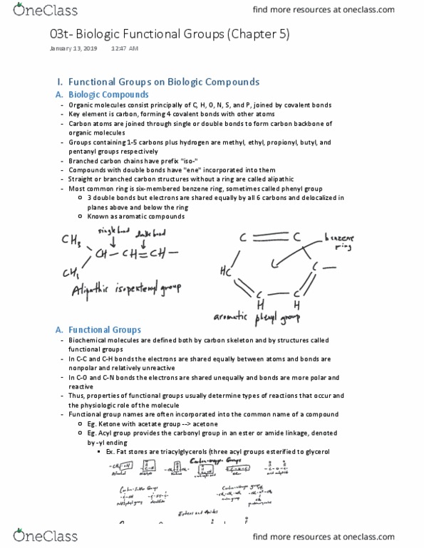 HTHSCI 1LL3 Chapter 5: 03t- Biologic Functional Groups thumbnail