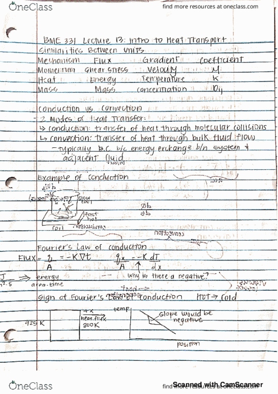 BME 331 Lecture 13: thumbnail