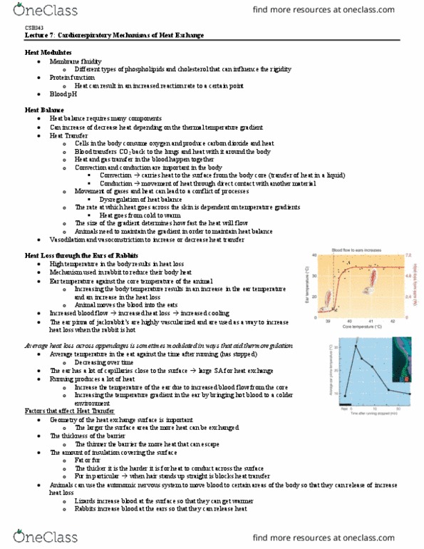 CSB343H1 Lecture Notes - Lecture 7: Membrane Fluidity, Autonomic Nervous System, Ph thumbnail