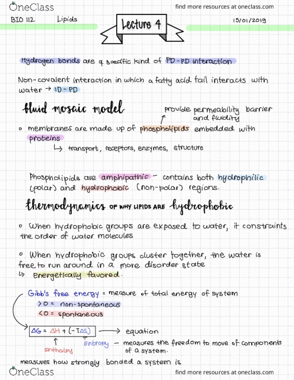 BIOL 112 Lecture 4: Lipids – Phospholipids, Membrane Structure, and Membrane Self Assembly thumbnail