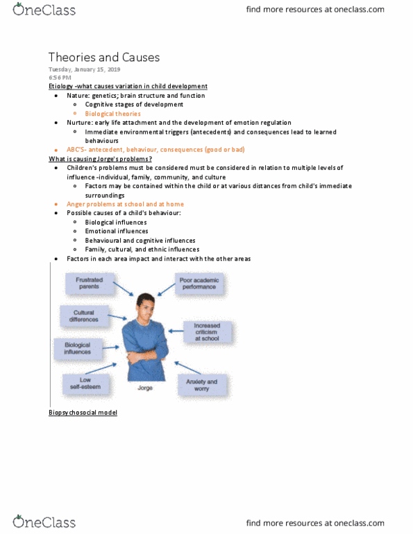 Psychology 2042A/B Lecture Notes - Lecture 2: Biopsychosocial Model, Behavioural Genetics, Cerebral Cortex thumbnail