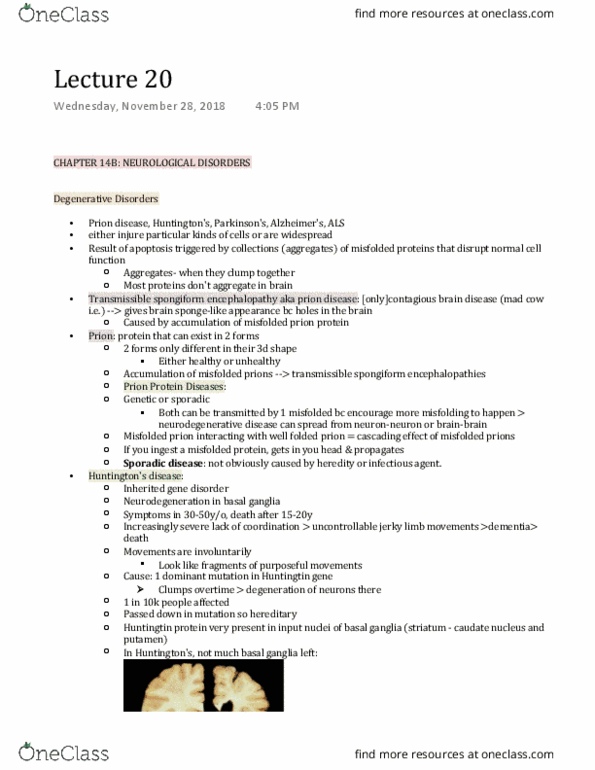 PSYC 211 Lecture Notes - Lecture 20: Transmissible Spongiform Encephalopathy, Basal Ganglia, Huntingtin thumbnail