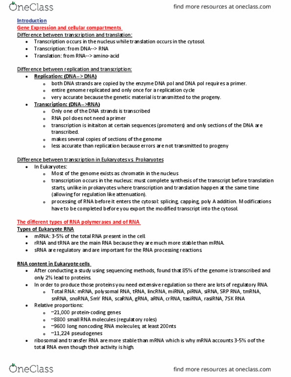 BIO 3170 Lecture Notes - Lecture 15: Long Non-Coding Rna, 7Sk Rna, Dna Replication thumbnail