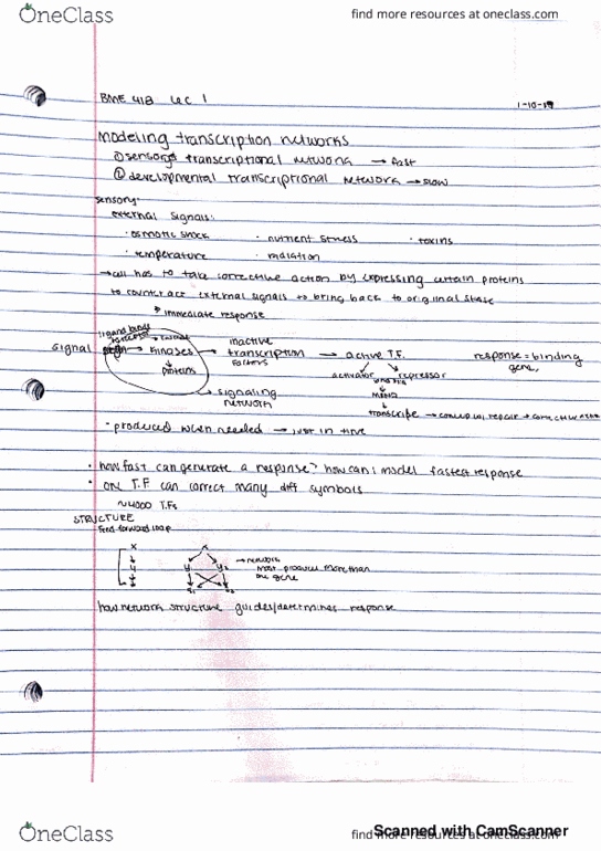 BIOMEDE 418 Lecture 2: Lectures 1 and 2 Overview and Sensory Transcription Networks thumbnail