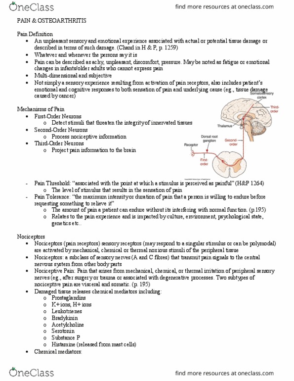 PAT 20A/B Lecture Notes - Lecture 4: Noxious Stimulus, Visceral Pain, Nociceptor thumbnail