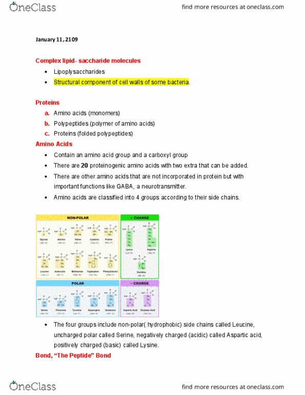 BIOL107 Lecture Notes - Lecture 2: Proteinogenic Amino Acid, Leucine, Lysine cover image