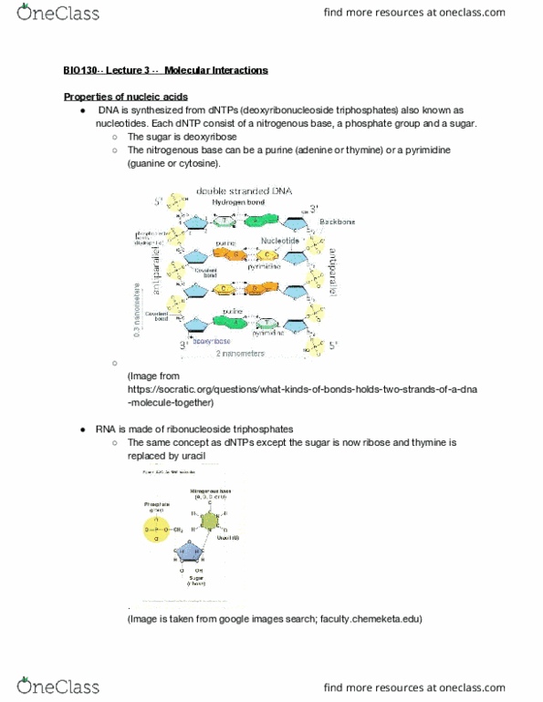 BIO130H1 Lecture Notes - Lecture 3: Google Images, Deoxyribonucleoside, Ribonucleoside cover image