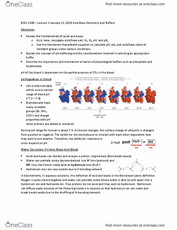BIOC 2300 Lecture Notes - Lecture 3: Surface Charge, Biomolecule, Partial Pressure thumbnail