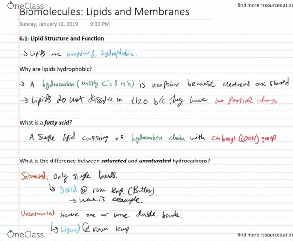 BIOL 200 Lecture Notes - Lecture 6: Liposome, Cholesterol, Facilitated Diffusion cover image