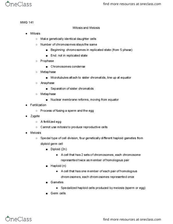 MMG 141 Lecture 4: 1/18 Mitosis and Meiosis thumbnail