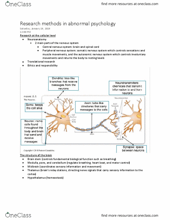 Psychology 2030A/B Lecture Notes - Lecture 2: Somatic Nervous System, Peripheral Nervous System, Autonomic Nervous System thumbnail