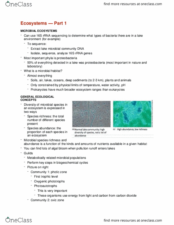 CMMB 343 Lecture Notes - Lecture 4: Algal Bloom, Photic Zone, Proteobacteria thumbnail