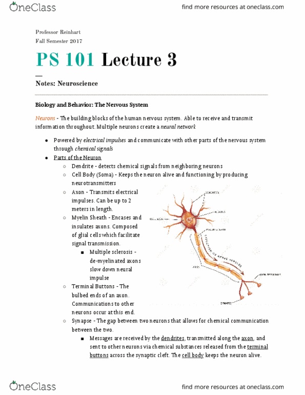 CAS PS 101 Lecture 3: Neuroscience thumbnail