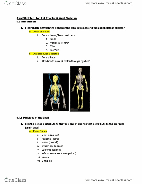 ANTR 350 Lecture Notes - Lecture 5: Appendicular Skeleton, Nasal Concha, Axial Skeleton thumbnail