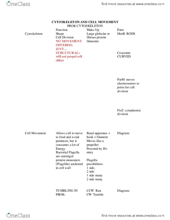 BIOL107 Chapter Notes -Centrosome, Tubulin, Aluminium thumbnail