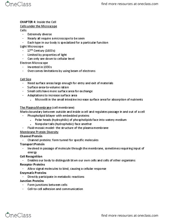 BIOL 101 Lecture Notes - Lecture 4: Electron Microscope, Cell Membrane, Small Cell thumbnail