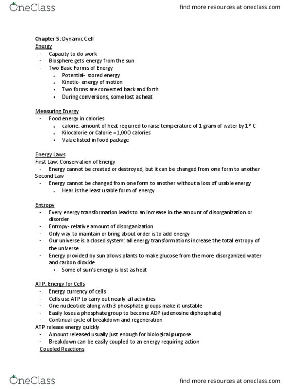 BIOL 101 Lecture Notes - Lecture 5: Cellular Respiration, Kinetic Energy, Food Energy thumbnail