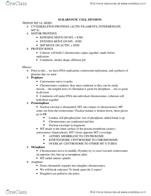 BIOL107 Chapter Notes -Mitosis, Cytokinesis, Kinetochore thumbnail