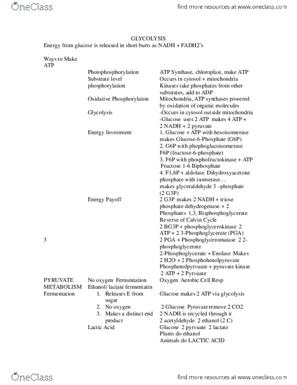 BIOL107 Chapter Notes -Chloroplast, Photophosphorylation, Triose thumbnail