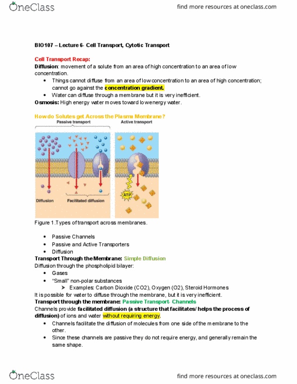 BIOL107 Lecture 6: BIO107 – Lecture 6-Cell Transport, Cytotic Transport cover image