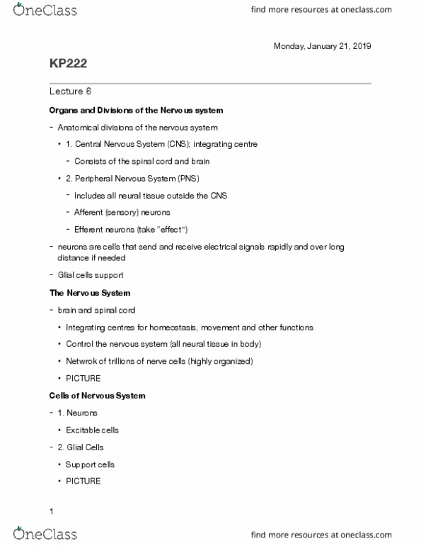 KP222 Lecture Notes - Lecture 6: Central Nervous System, Peripheral Nervous System, Homeostasis thumbnail