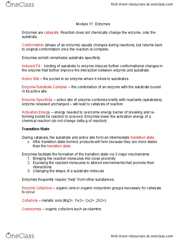 BI110 Chapter Notes - Chapter 11: Activation Energy, Pepsin, Digestive Enzyme thumbnail