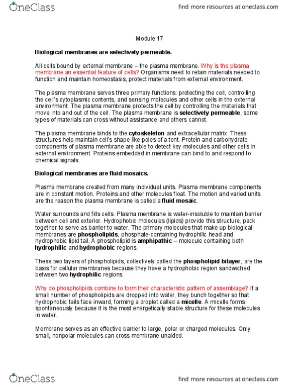 BI110 Chapter Notes - Chapter 17: Lipid Bilayer, Biological Membrane, Micelle thumbnail