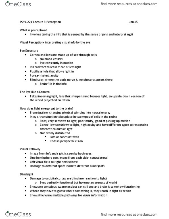 PSYC 221 Lecture Notes - Lecture 3: Occipital Lobe, Peripheral Vision, Retina thumbnail