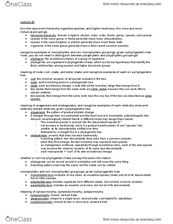 Biology 1001A Lecture 10: Cycle 10 - Evolutionary Relationships thumbnail