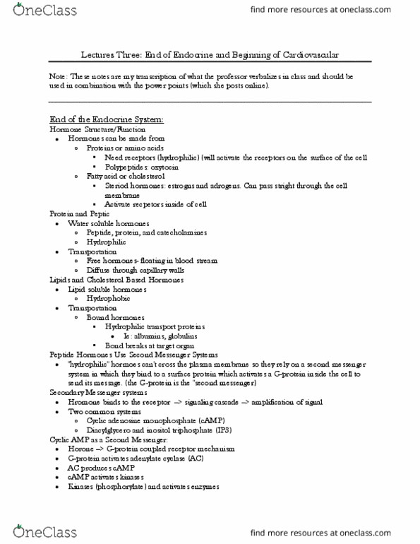 KINS 1224 Lecture Notes - Lecture 3: Adenylyl Cyclase, Protein Kinase, Inositol thumbnail