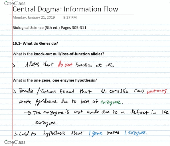 BIOL 200 Lecture 12: Central Dogma- Information Flow (1/22/19) cover image