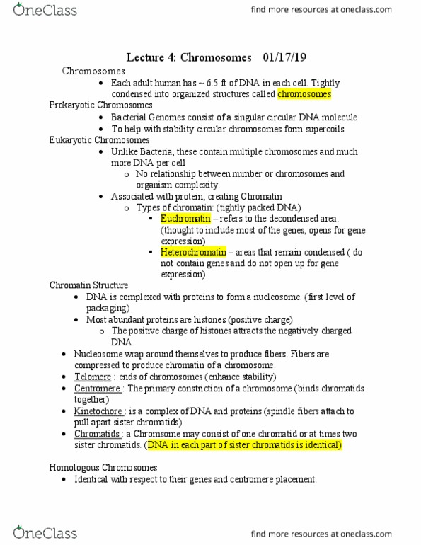 AGR 3303 Lecture Notes - Lecture 4: Sister Chromatids, Nucleosome, Chromatin thumbnail