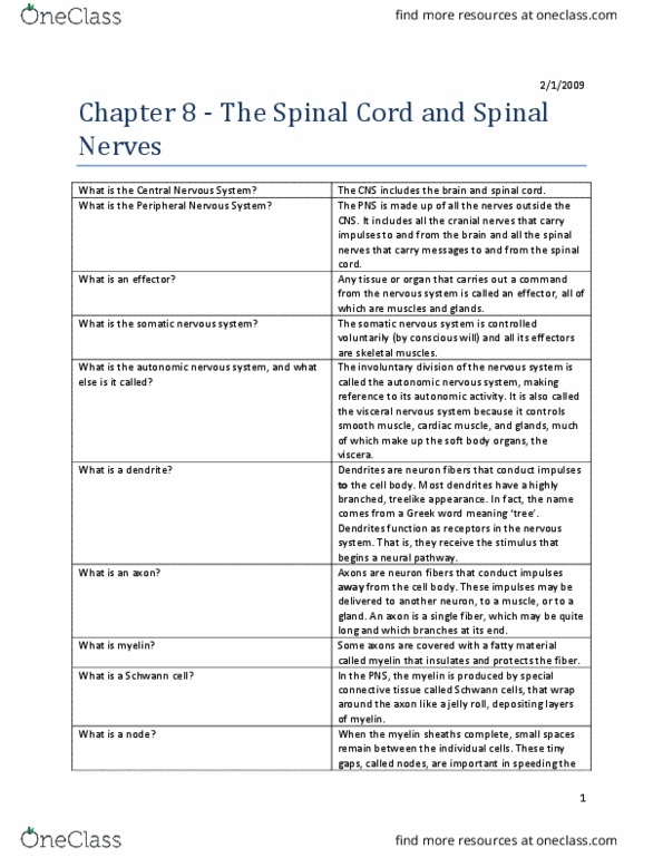 HI310 Lecture 3: Chapter-8-The-Spinal-Cord-and-Spinal-Nerves thumbnail