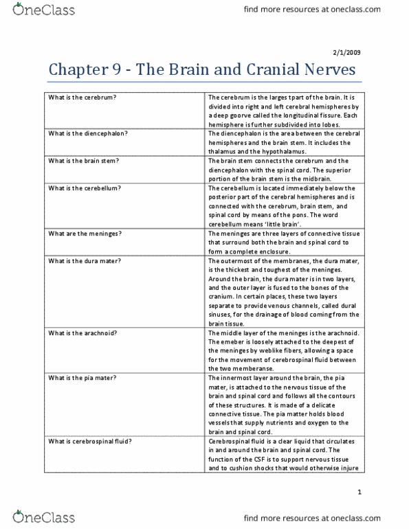 HI310 Lecture 7: Chapter-9-The-Brain-and-Cranial-Nerves thumbnail