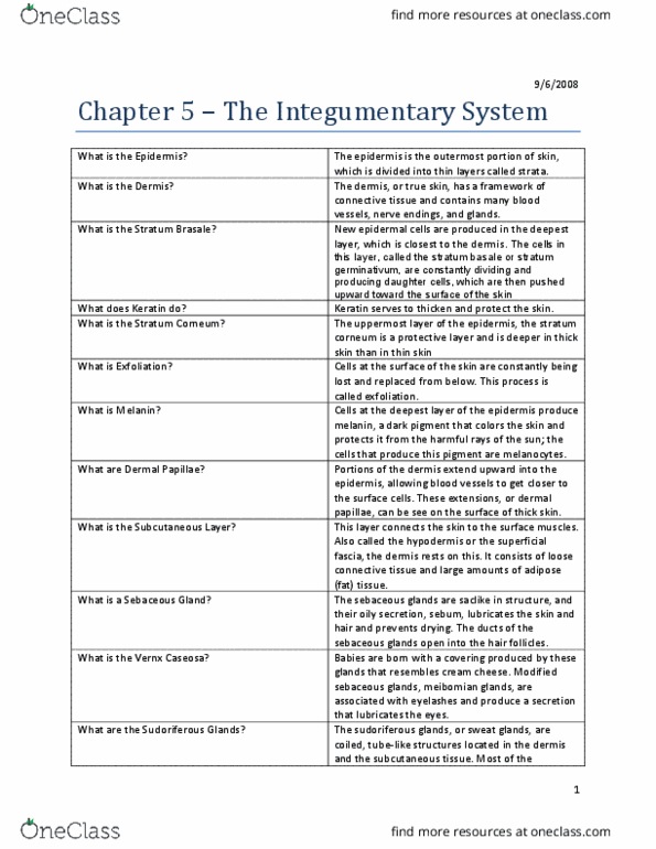 HI310 Lecture 2: Chapter-5-The-Integumentary-System thumbnail