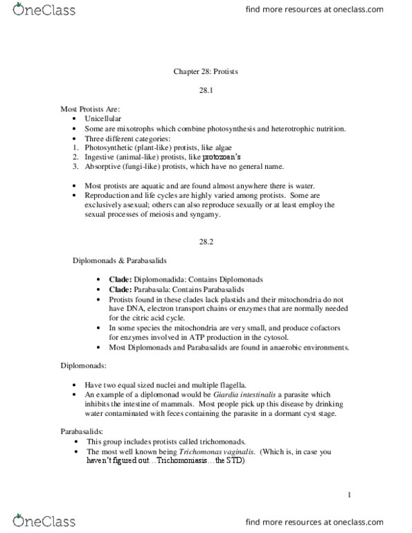 HI310 Lecture 3: Protist-Study-Guide thumbnail