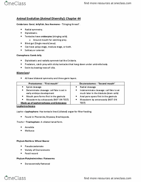 BIOL 1108 Lecture 20: Chapter 44 Animal Evolution (Animal Diversity) Part 2 thumbnail